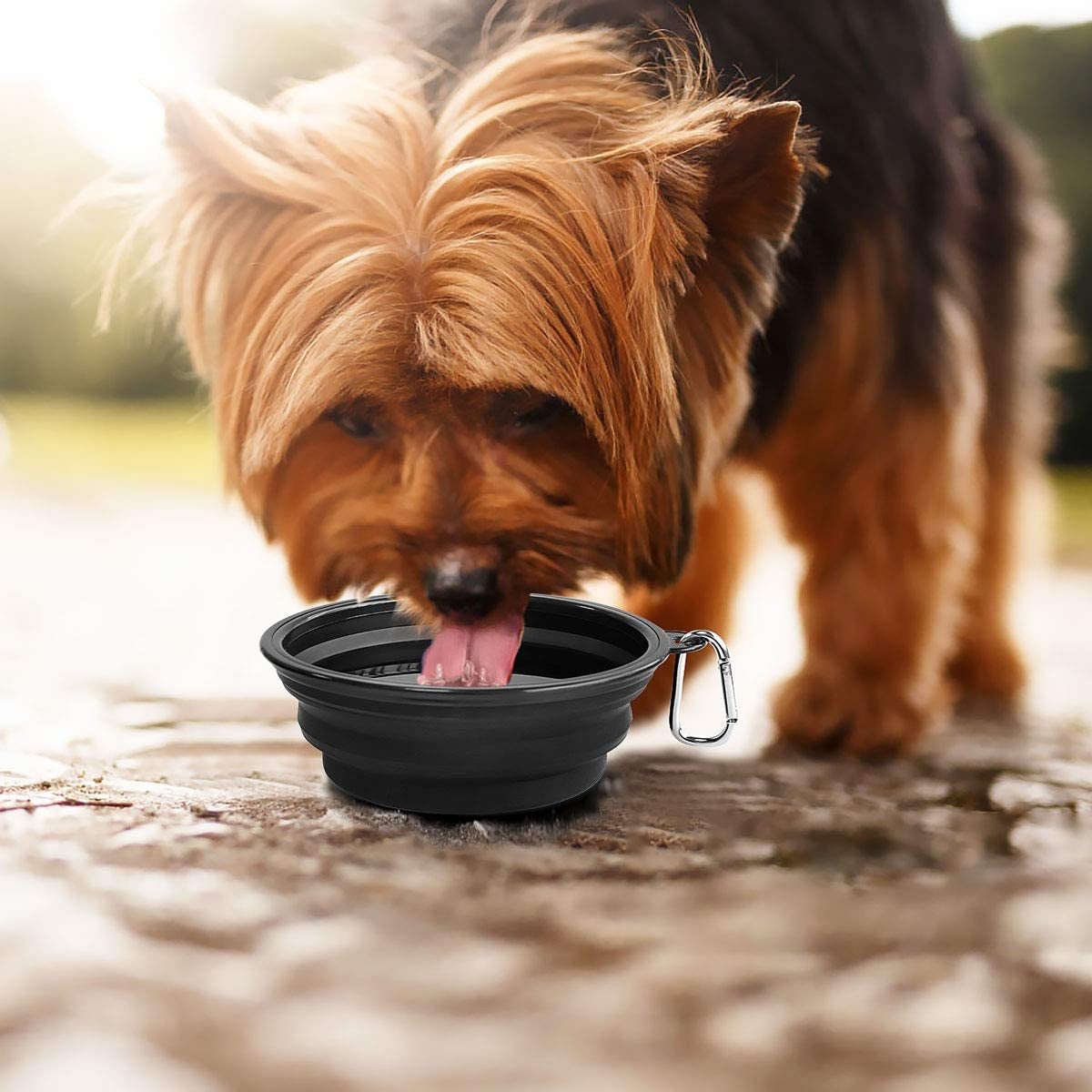 Large Collapsible Dog Bowls 2-Pack - 34Oz Portable Travel Water & Food Bowls with Clasp for Pets - Ideal for Hiking, Walking & Traveling (Black)