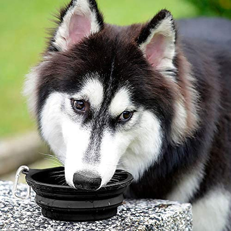 Large Collapsible Dog Bowls 2-Pack - 34Oz Portable Travel Water & Food Bowls with Clasp for Pets - Ideal for Hiking, Walking & Traveling (Black)